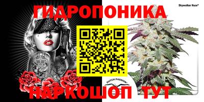 сатива Кулебаки