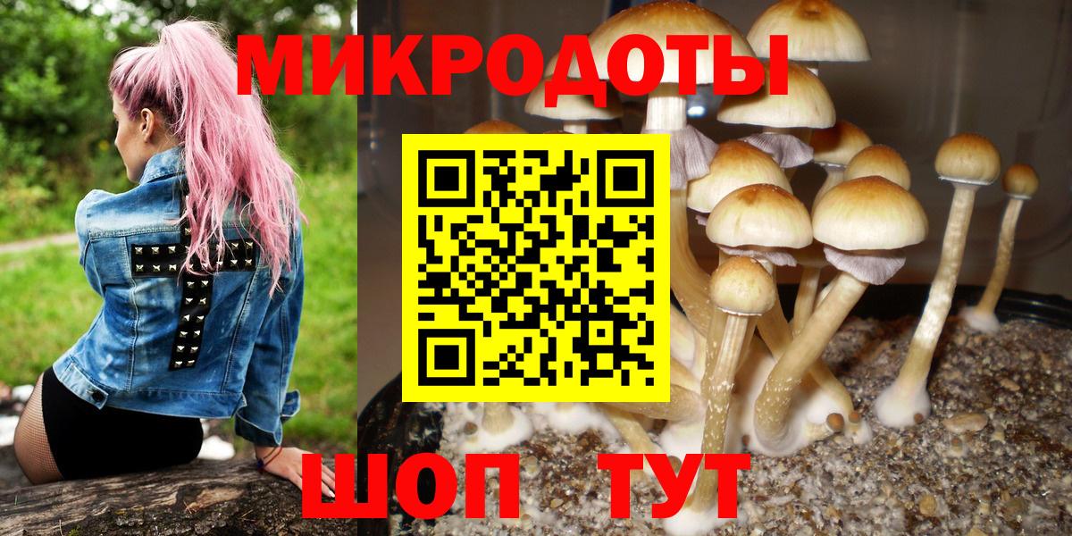 Галлюциногенные грибы прущие грибы Карачаевск