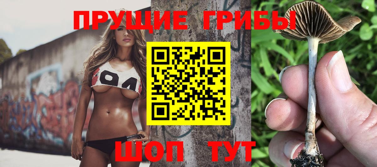 Галлюциногенные грибы Magic Shrooms  купить наркотик  Карачаевск  Вход с VPN 